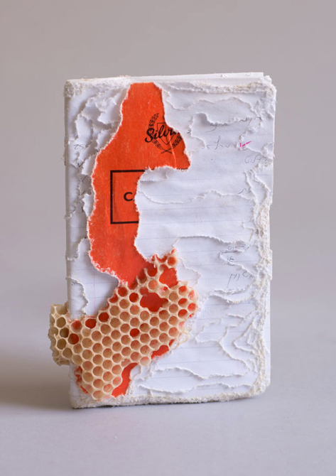 colony collapse disorder